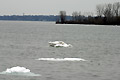 2004 Photos