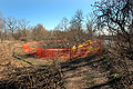 2005 Photos