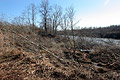 2005 Photos