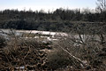 2005 Photos