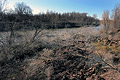 2005 Photos