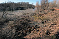 2005 Photos