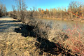 2005 Photos
