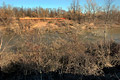 2005 Photos