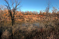 2005 Photos
