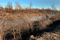 2005 Photos